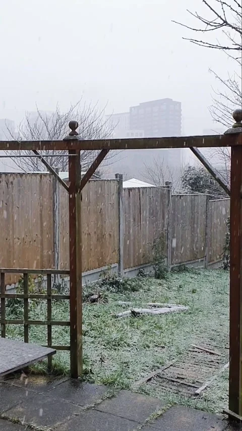 Light snow falling on a backyard in a cold foggy day Stock Footage 287732222