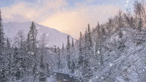 Light snow falling Beautiful winter landscape at sunrise. Video stock 166902364
