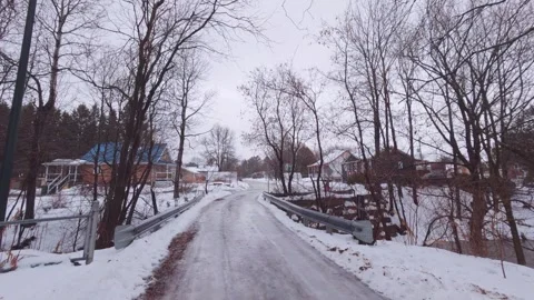 Light Snow Falling Between Bare Trees in Woodland Stock Footage 324547974