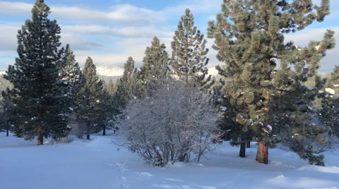 Light snow falling on mountain meadow- Stock Footage 58899435