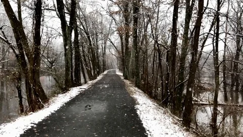 Light Snow Falling in Slow Motion Stock Footage 121219820