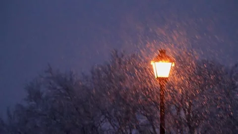 A light in the snow 動画素材 278492923