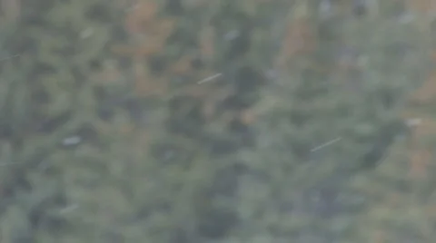 Light snow forest rack focus - 30p Stock Footage 1847658