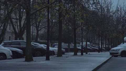 Light snow on tree lined avenue in London Stock Footage 90163926