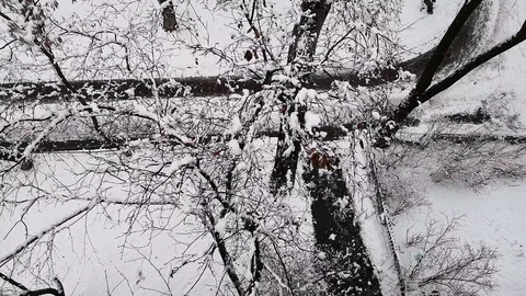 Light snow in the yard Stock Footage 103857867