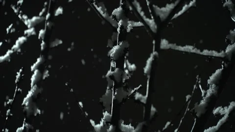 Light snowfall overnight and snowflakes falling on tree branches Stock Footage 303022415
