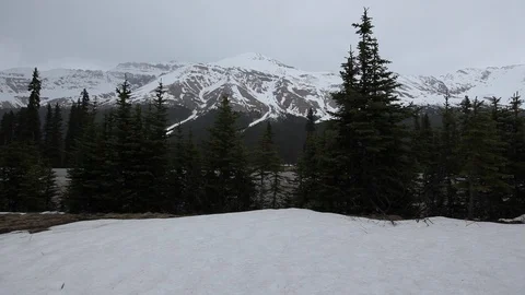 Light snowfall on scenic trees and mountain lookout Stock Footage 90833748