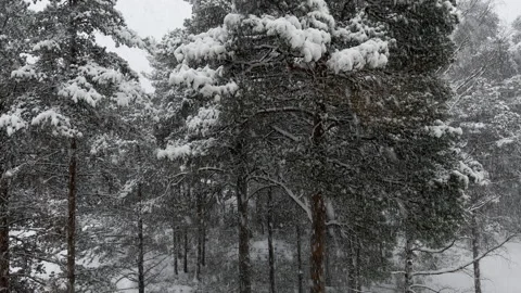 Light snowfall from window Video stock 167459499