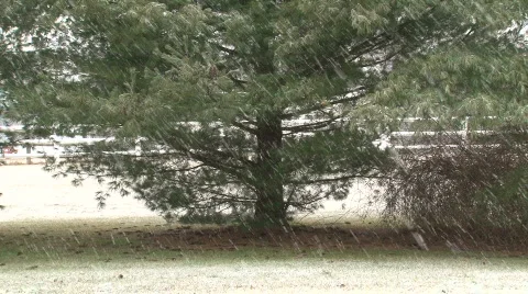 Light snowy day Stock Footage 379731