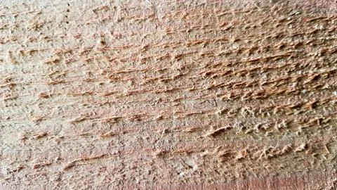 Light soft wood surface as background, wood texture. Stock-Fotos