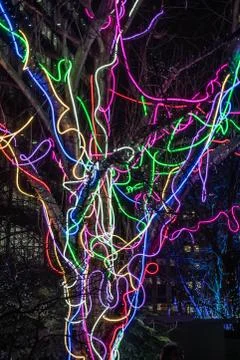 Light Spaghetti Stock Photos