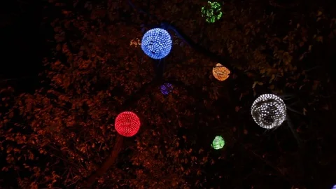 Light spheres in branches Stock Footage 81452743