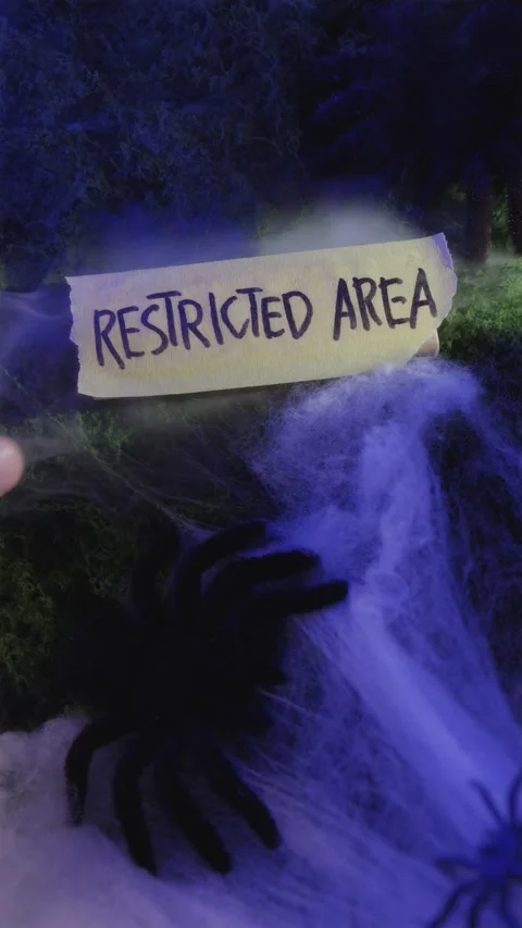 Light spotlighting Restricted Area sign on foggy moss Видео 342423308