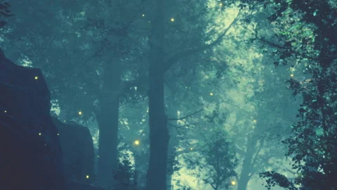 Light spots appear in a forest at dusk with tall trees and fog Stock Footage 342052305