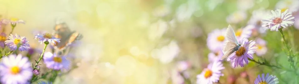 Light spring background Stock Photos