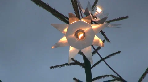 Light In An Spruce Tree Stock Footage 959434
