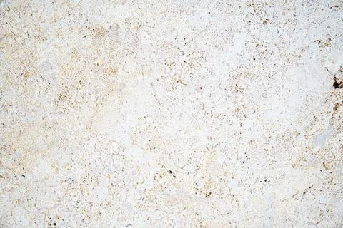 Light stone surface with fossil texture background Stock Photos