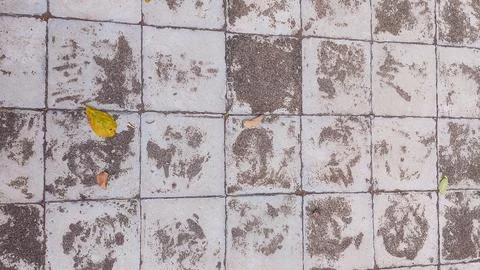 Light stone tile texture in soft neutral palette Stock Photos