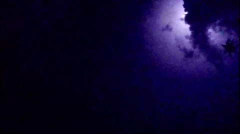 Light-storm. Sequence of lightnings Stock Footage 41319936