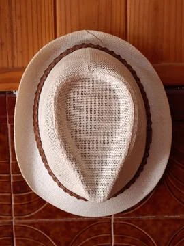 Light straw fedora hat with woven brown band Stock Photos