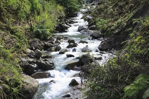Light Stream Creek Stock Photos