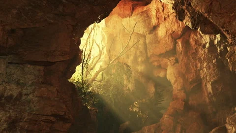 Light streams through a rocky cave revealing greenery during the day Stock Footage 345053599