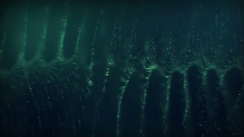 Light Strings Background Video stock 100538779