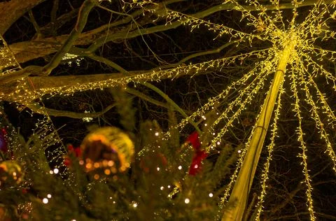 Light strings radiate from pole above decorated Christmas tree. Stock Photos