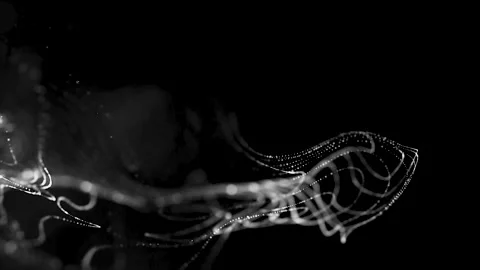 Light Stripes Multicolor moving in space,Networking and Fiber Optics Light  Video stock 219713184