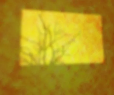 Light on the studio yellow texture Stock Illustration