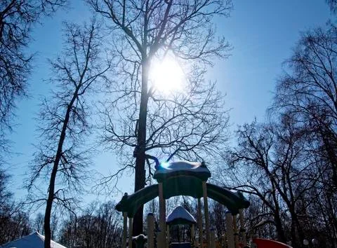 The light of the sun around the trunk of the tree Stock-Fotos