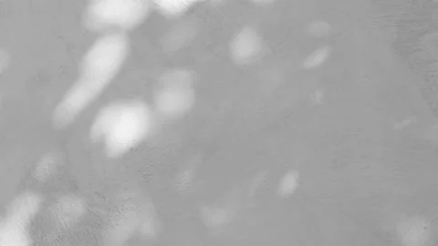 Light sun glare on a gray concrete background, abstract shadow from plants moves Stock Footage 160116586