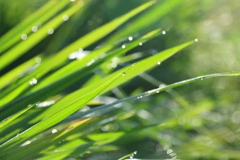 Light from the sun shines on the water, causing bokeh and blury. Stock-Fotos