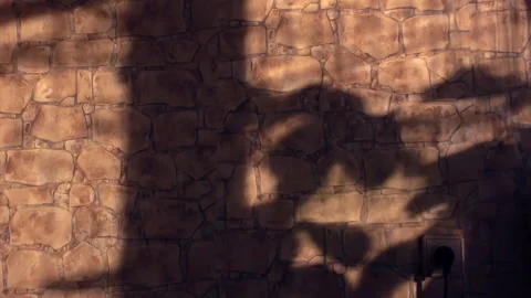 Light of sunset, movement of shadows on the wall, time laps Stock Footage