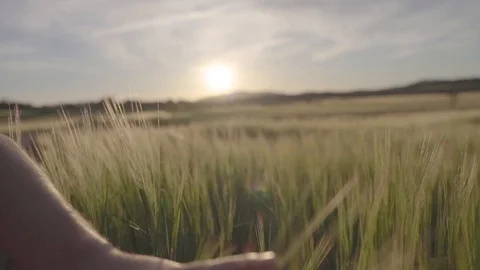 The light of sunset over the field. Beautiful sky. Nature concept. Vídeos de archivo 127577752
