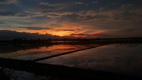 Light of sunset 库存照片