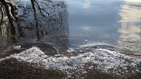 Light surf, sandy shore with remnants of ice, bright sunlight Stock Footage 122734597