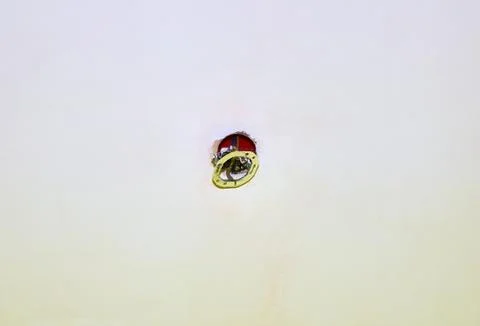 Light switcher installation Stock Photos