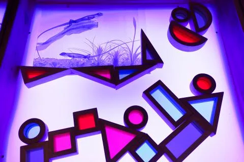 Light table in a living and active Education Space Stock Photos