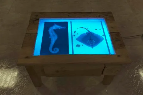 Light table in a living and active Education Space Stock Photos