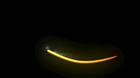 Light tail 144 Stock Footage 226319251