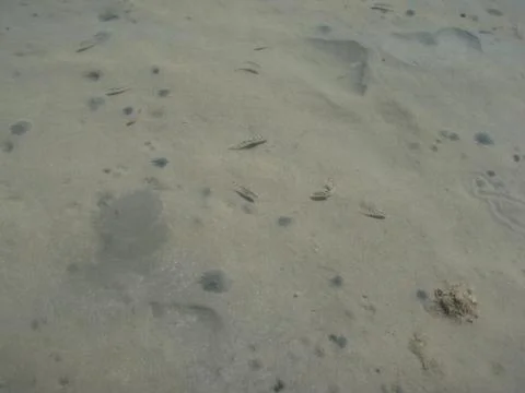 Light texture Foto stock