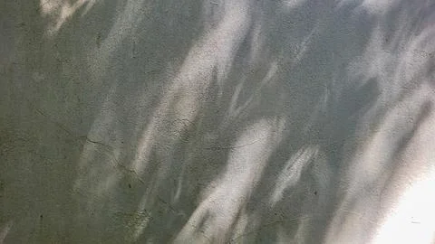 Light texture with shading of leaves Stock Photos