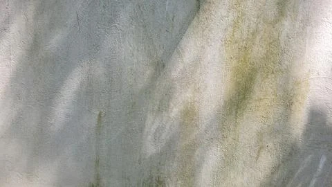 Light texture with shading of leaves Foto stock