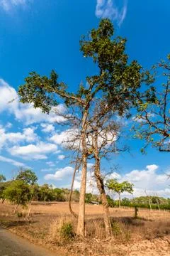 Light through the cloud Stock Photos