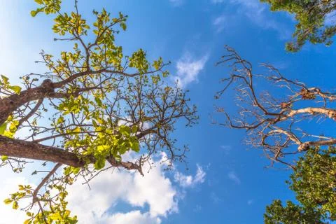 Light through the cloud Stock Photos