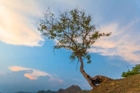 Light through the cloud Foto stock