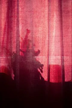 Light through the curtains Stock Photos