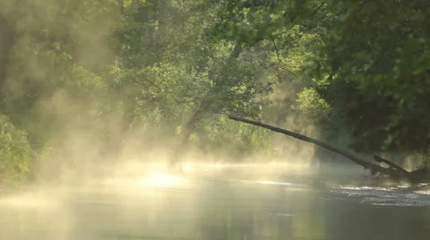 Light through the fog Stock Footage 51235789