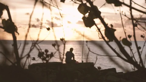 Light through the leaves Stock Footage 103895010